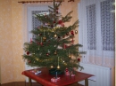 Mikul 2010